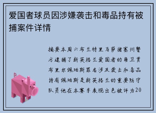 爱国者球员因涉嫌袭击和毒品持有被捕案件详情